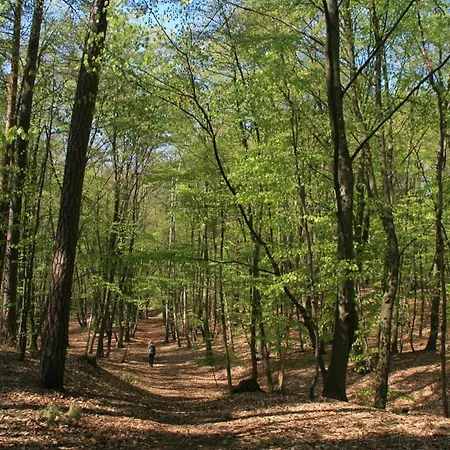 Waldblick Eg Apartament