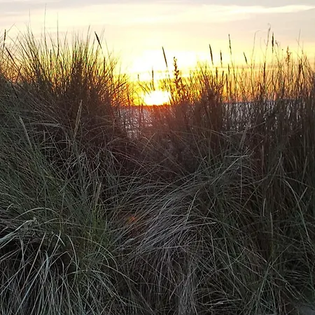 Waldblick Eg *