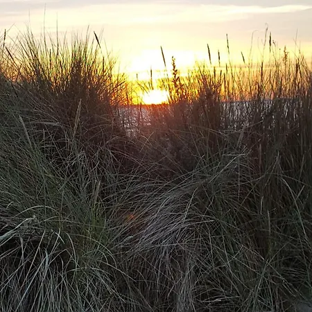Waldblick Eg *